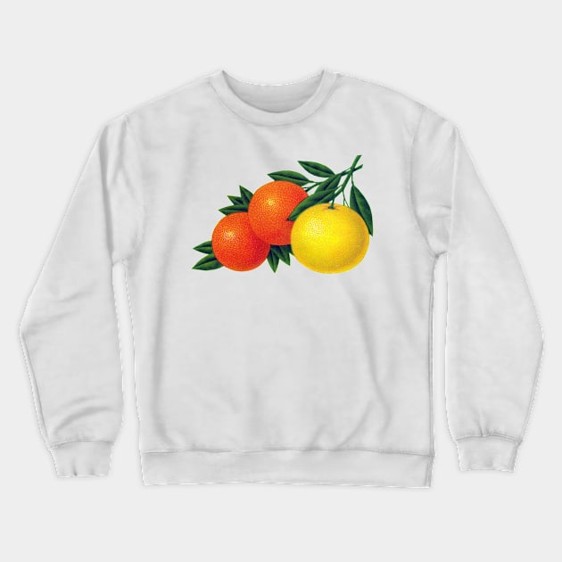 1950s Citrus Crewneck Sweatshirt by historicimage